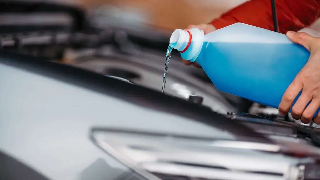 Garrafão de líquido limpa-para-brisas a ser despejado no respectivo depósito do carro