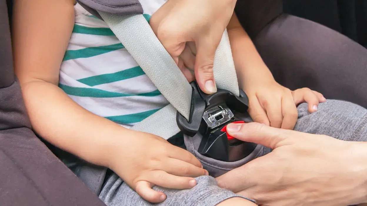 Criança sentada a ser colocada o cinto de segurança num assento de carro.