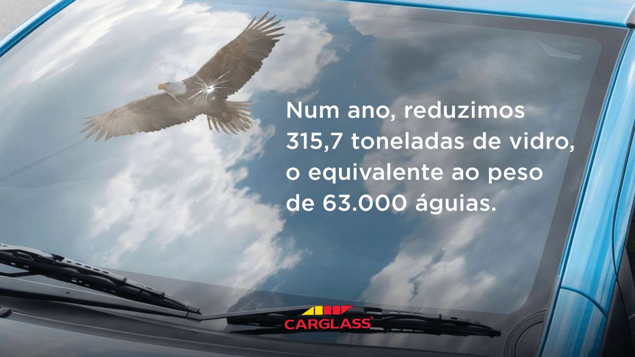 Reparar a natureza - imagem2 v3