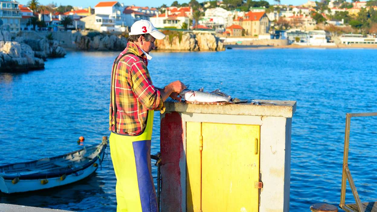 pescador na marina de cascais